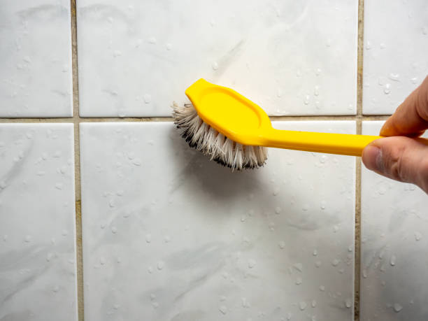 Best Certified Mold Removal  in Premont, TX