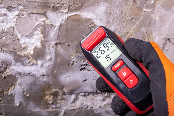 Best Water Damage Restoration  in Premont, TX