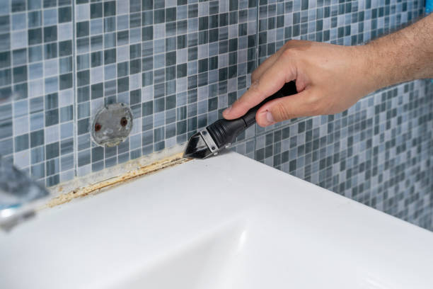 Best Mold Remediation  in Premont, TX
