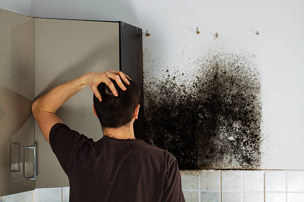 Best Mold Removal and Inspection  in Premont, TX